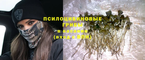 соль курить ск Бородино