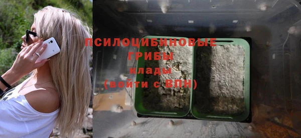 соль курить ск Бородино