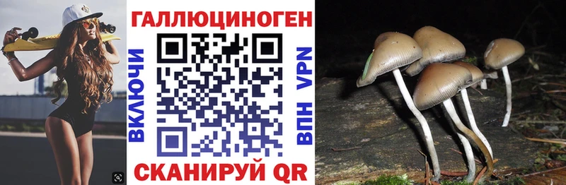 Галлюциногенные грибы GOLDEN TEACHER  Знаменск 